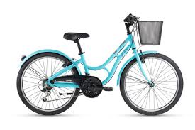 Xe đạp trẻ em Gitane Palas 24
