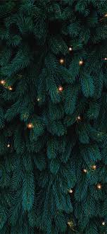 We did not find results for: Green Christmas Tree With Lights Iphone X Wallpapers Free Download