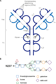 Check spelling or type a new query. Efficacy Of Intravenous Immunoglobulin In Neurological Diseases Springerlink