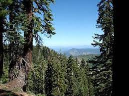Some Great Runs In Old Station Ca Especially Along Dodie Loop Road On My Way To Cache Water For The Pct Lassen National Park Burney Falls Pacific Crest Trail