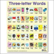 Caboodle, noun, a whole group. Cvc Word Charts Three Letter Words 3 Letter Words Letter N Words