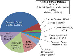 Each organization offers different kinds of assistance and has its own eligibility rules. Funding For Cancer Research And Clinical Studies In Low And Middle Income Countries Springerlink