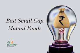 The Best Small-Cap Funds Of 2022 | Morningstar