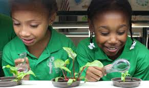 How Environment Based Education Boosts Student Engagement and Academic  Achievement in Science, Technology, Engineering and Mat