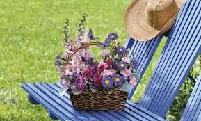Provo Ut Flower Delivery Same Day 1st In Flowers