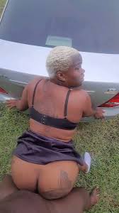 Bigchops Busshead @bigchops_jay - Twitter Profile | Sotwe