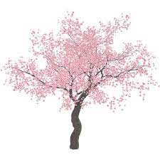 Page Not Found Scrapbook Flowers Sakura Tree Abstract Artwork