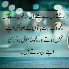 Pin by CH Shbaan on Waqt ke Awraaق | Love quotes in urdu, Punjabi ...