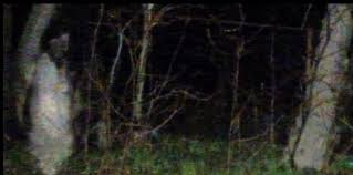 We found 54 addresses and 74 properties on shades of death road in great meadows, nj. Real Haunted Nj Landmarks To Check Out Nj Family