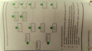 Kunci determinasi tumbuhan merupakan suatu kunci yang berguna dalam pengidentifikasian tumbuhan berikut ini adalah beberapa contoh kunci determinasi tumbuhan. Apa Yang Termasuk Kunci Determinasi Kacang Tanah Jagung Padi Rumput Dan Jamur Harus Diisi Brainly Co Id