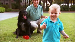 Dog helps alert parents to abusive babysitter