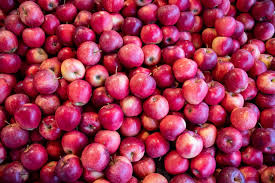 Der apfel hat wenige kalorien, viele vitamine und einen hohen nährwert. Fuji Apfelsorte Obsthof Knoblauch Friedrichshafen