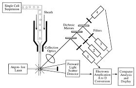 flow cytometry principles and clinical applications in