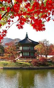 Autumn In South Korea The Country S Best Spots For Fall In One Amazing Road Trip Korea Tourist Spots Seoul Travel Korea Travel