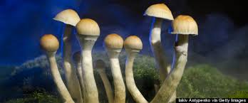 What We Really Know About Psychedelic Mushrooms Huffpost