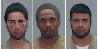 MUGSHOTS: 13 fugitives arrested during warrant roundup