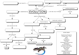 Evolution Concept Map In 2020 Evolution Concept Map Evolution Concept Map