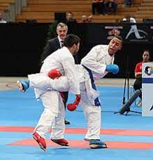 โยนาทัน ฮอร์เน (th) karateka tedesco (it); Jonathan Horne Wikipedia