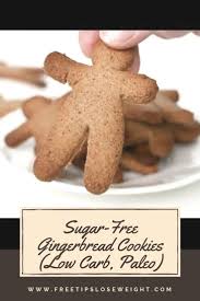 Sugar Free Gingerbread Cookies Low Carb Paleo Live Well Corner Sugar Free Biscuits Paleo Gingerbread Cookies Healthy Gingerbread Cookies