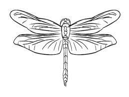If you want to give a dragonfly coloring to someone, print it for. Free Printable Dragonfly Pictures Google Search Insect Coloring Pages Coloring Pages Coloring Pages For Kids