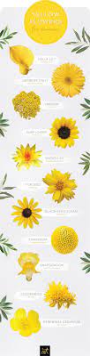 The beautiful language of flowers has been used throughout history as part of different rich cultures and traditions. 30 Types Of Yellow Flowers Ftd Com Yellow Flowers Names Small Yellow Flowers Yellow Flower Arrangements