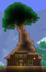 We did not find results for: My Day 1 Starter Base Terraria