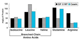 research review fast vs slow whey for protein synthesis