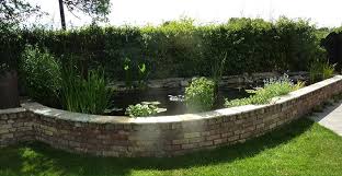 Check spelling or type a new query. Pond Construction Examples Women With Waders Pond Construction Water Garden Raised Pond