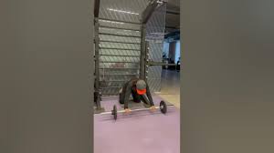 youtube #motivation #anytimefitness #viralshort