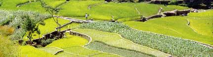Background Ecosystem Services Biodiversity Esb Food And Agriculture Organization Of The United Nations