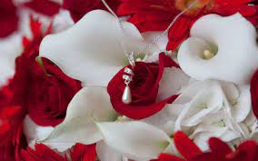 And don't forget, flowers for a new baby can come in any size, shape or color of the rainbow. Rose Wallpaper New Flowers