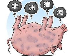 Image result for 中國疫苗之亂