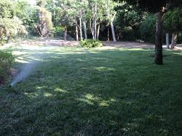 Mow sod as soon as new growth has increased by one third of the installed sod height. Mulch Stone Shell And Sod Landscapes By Aaron Your Sarasota Landscaping Company