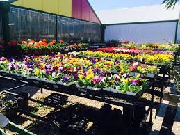 When you join ascension providence, you not only join one of the largest employers in waco, you join a complete healthcare network dedicated to offering the best. Westview Nursery Landscape Home Facebook
