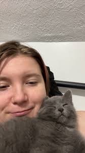 Is it safe to let 8 week old kittens roam the house?