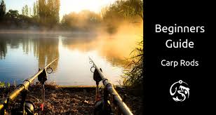 Beginners Guide To Carp Rods Buying Your First Set Of Rods