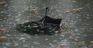 Governo investe 800 mil euros para recuperar danos do mau tempo no algarve. Diario As Beiras Mau Tempo Poucas Ocorrencias Durante A Noite Mas Situacao Vai Agravar