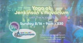 Yoga at Jenkinson’s Aquarium