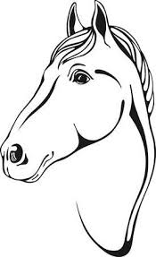 Zwarte En Witte Contouren Van Het Paard Hoofd In Skertch Stijl Paard Tekeningen Paardentatoeages Paard Silhouet