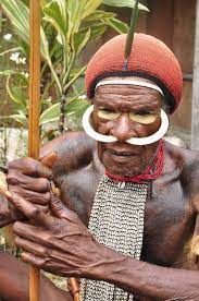 Suku yang satu ini merupakan suku dengan jumlah populasi terbesar di papua. Suku Dani Wikipedia Bahasa Indonesia Ensiklopedia Bebas