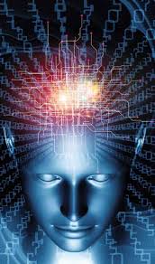 C O U R S E C A T A L O G