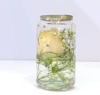 Eco-Friendly Recyclable Plastic Container with Easy Open Lid
