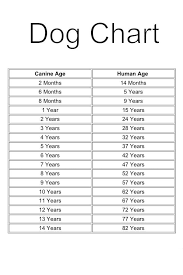 Age Chart For Dogs Labradorretriever Dog Chart Dog Age