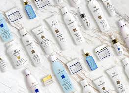 Image result for Gunillaea