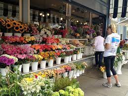 To give proof of these trading practices, many online shops show they have veriflora. Flower Shops The Benefits And Uses Tech News Vision