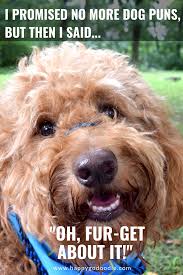 50 Dog Puns The Ultimutt List To Make You Smile Or Grrrroan Dog Puns Dog List Happy Birthday Dog