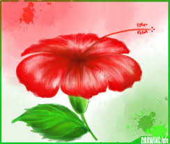 Maybe you would like to learn more about one of these? How To Draw A Hibiscus Flower Easy Step By Step With Color