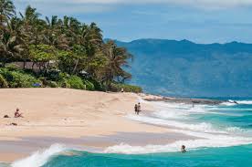 Ivys@nsaplastics.com the north shore center for medical aesthetics, ltd. 10 Best North Shore Beaches For Surfing Kids More