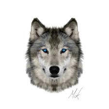 Black And Grey Wolf With Blue Eyes Wolf Face Wolf Face Wolf Face Tattoo Wolf Face Drawing
