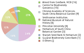 Image result for Tragus koelerioides